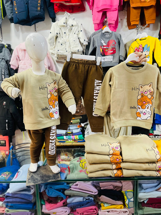 Winter fleece tracksuits(3cats)